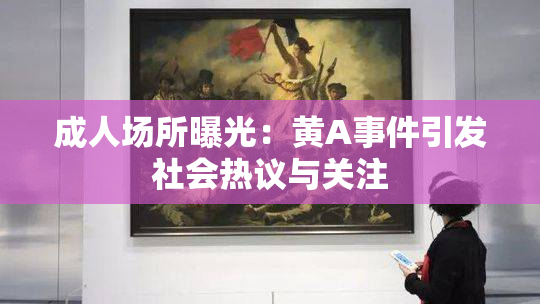 成人场所曝光：黄A事件引发社会热议与关注