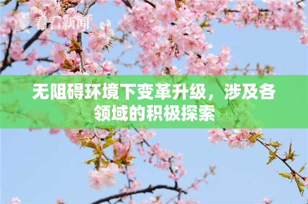 无阻碍环境下变革升级，涉及各领域的积极探索