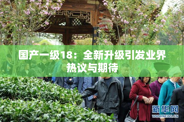 国产一级18：全新升级引发业界热议与期待