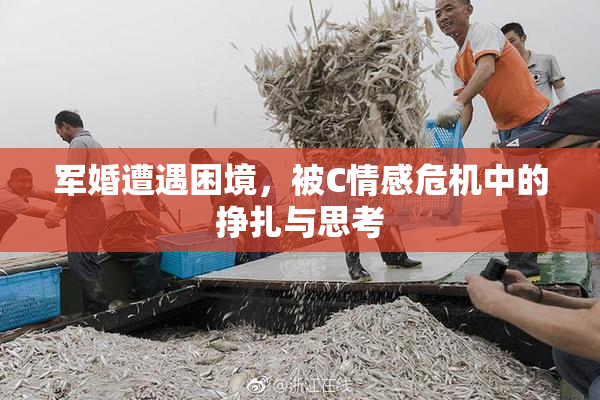 军婚遭遇困境，被C情感危机中的挣扎与思考