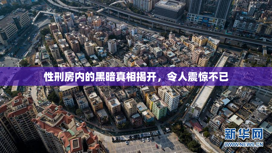 性刑房内的黑暗真相揭开，令人震惊不已