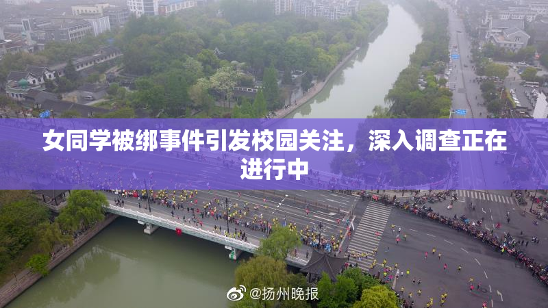 女同学被绑事件引发校园关注，深入调查正在进行中