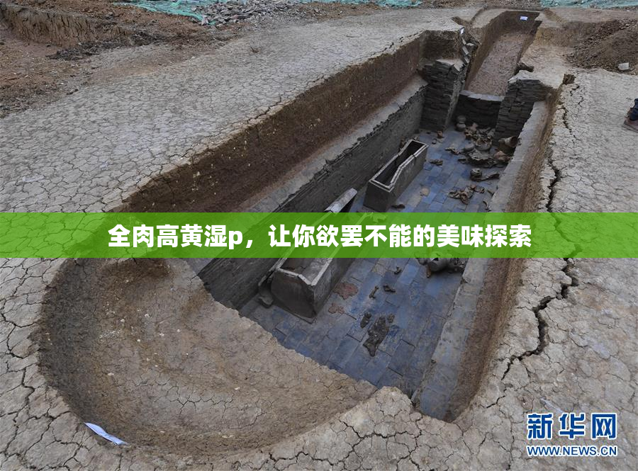 全肉高黄湿p，让你欲罢不能的美味探索