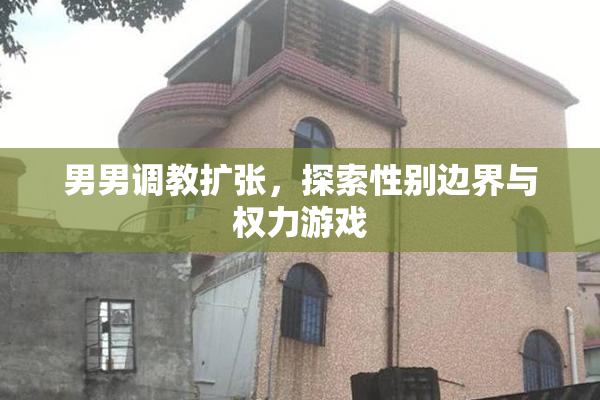 男男调教扩张，探索性别边界与权力游戏