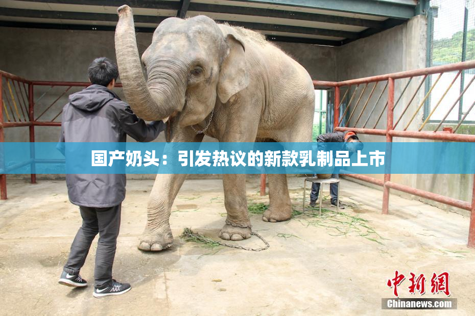 国产奶头：引发热议的新款乳制品上市