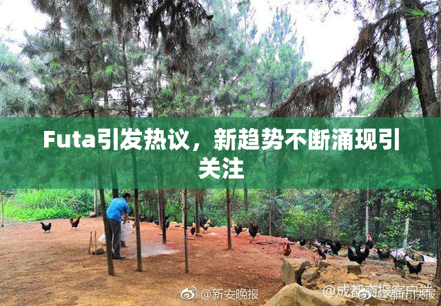 Futa引发热议，新趋势不断涌现引关注