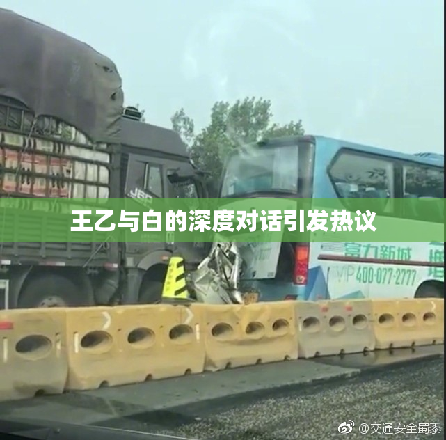 王乙与白的深度对话引发热议