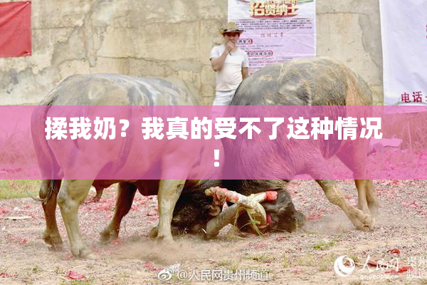 揉我奶？我真的受不了这种情况！