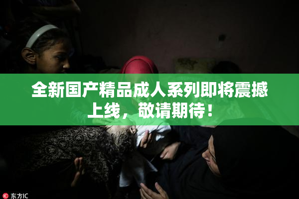 全新国产精品成人系列即将震撼上线，敬请期待！