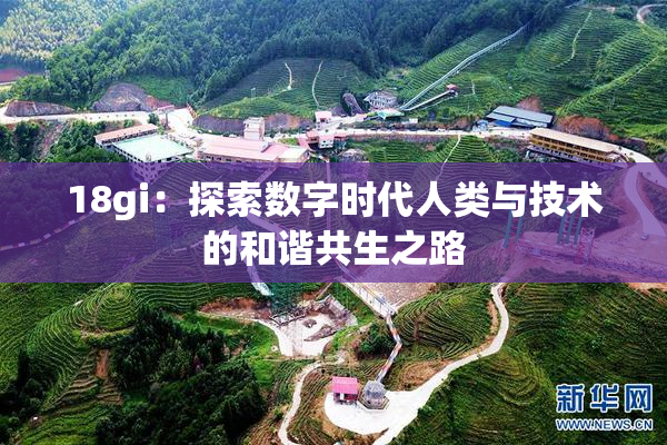 18gi：探索数字时代人类与技术的和谐共生之路
