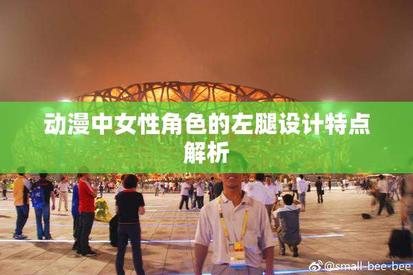 动漫中女性角色的左腿设计特点解析