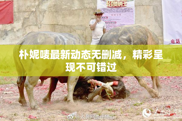 朴妮唛最新动态无删减，精彩呈现不可错过