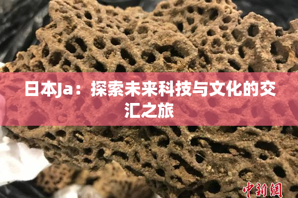 日本Ja：探索未来科技与文化的交汇之旅