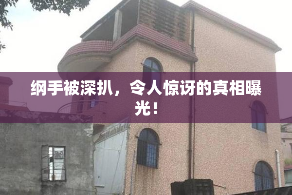 纲手被深扒，令人惊讶的真相曝光！