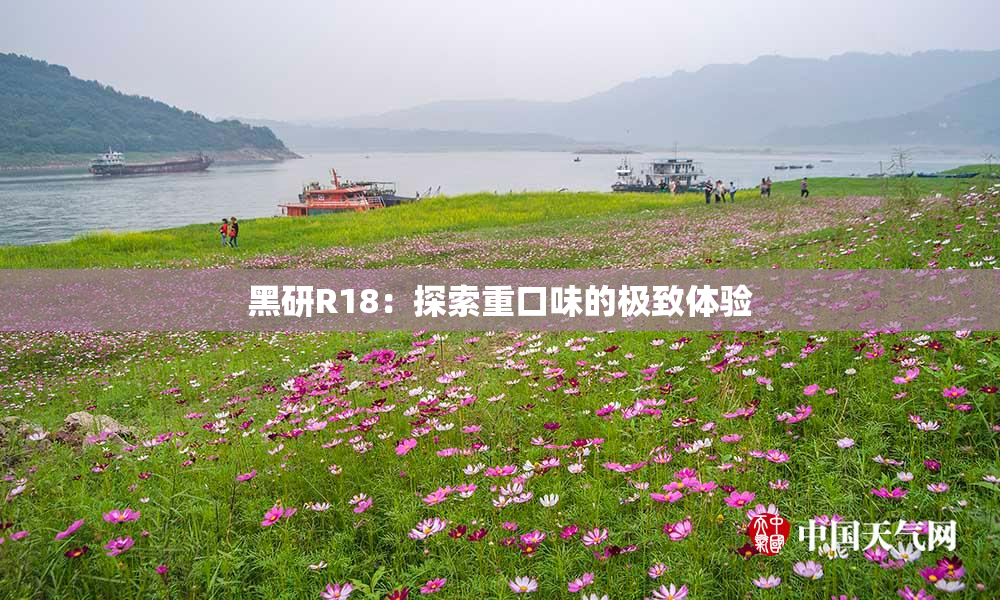 黑研R18：探索重口味的极致体验