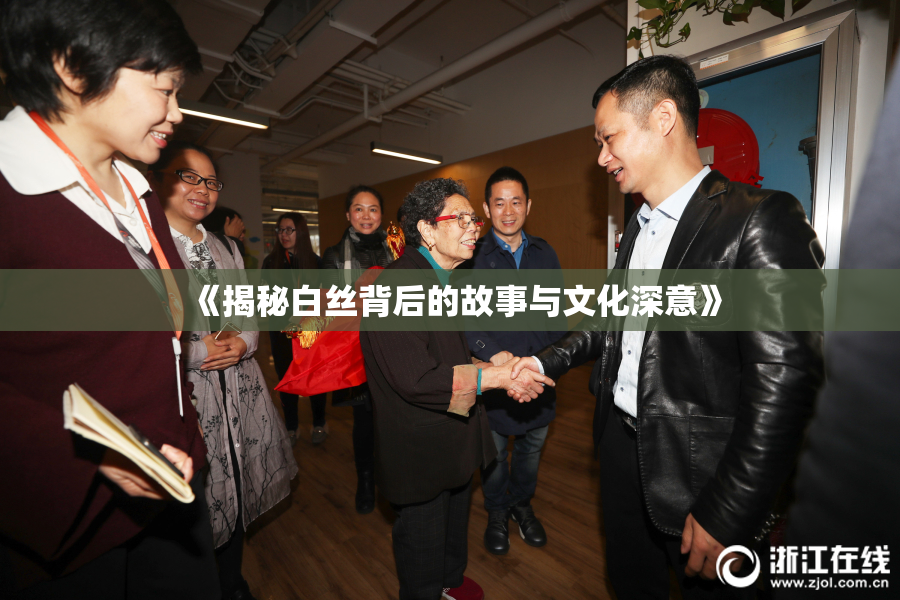 《揭秘白丝背后的故事与文化深意》