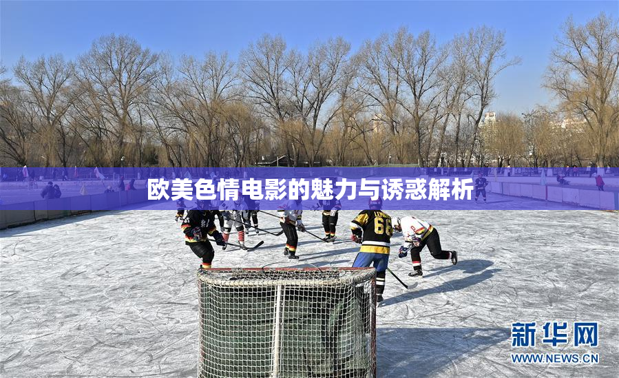 欧美色情电影的魅力与诱惑解析
