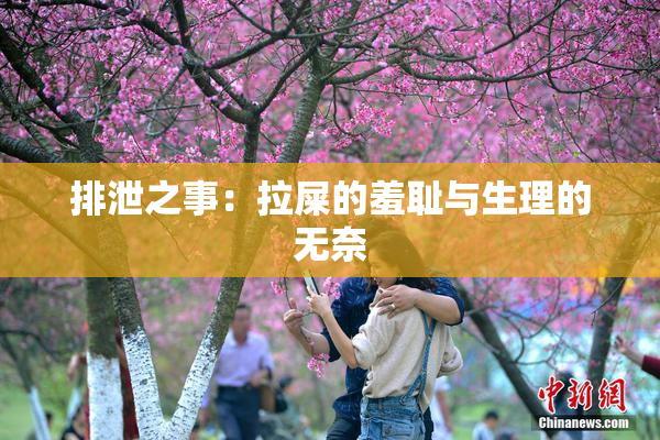 排泄之事：拉屎的羞耻与生理的无奈