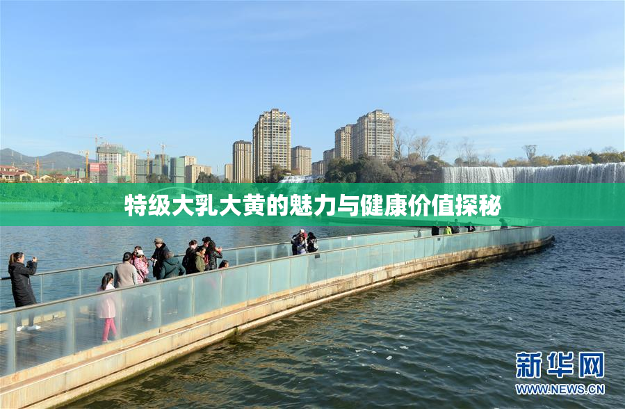特级大乳大黄的魅力与健康价值探秘