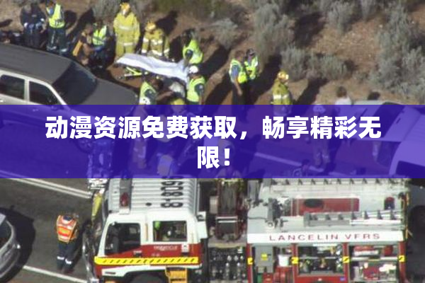 动漫资源免费获取，畅享精彩无限！