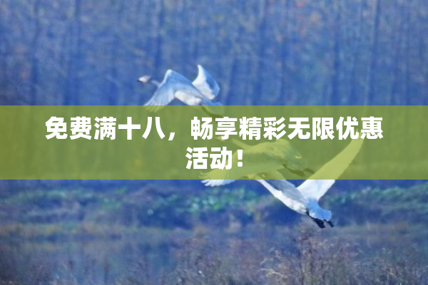 免费满十八，畅享精彩无限优惠活动！