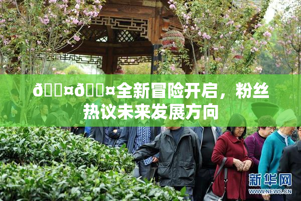 🐤🐤全新冒险开启，粉丝热议未来发展方向