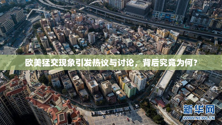 欧美猛交现象引发热议与讨论，背后究竟为何？