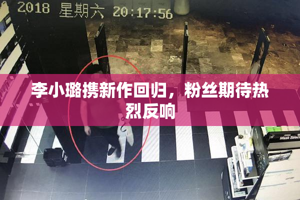 李小璐携新作回归，粉丝期待热烈反响