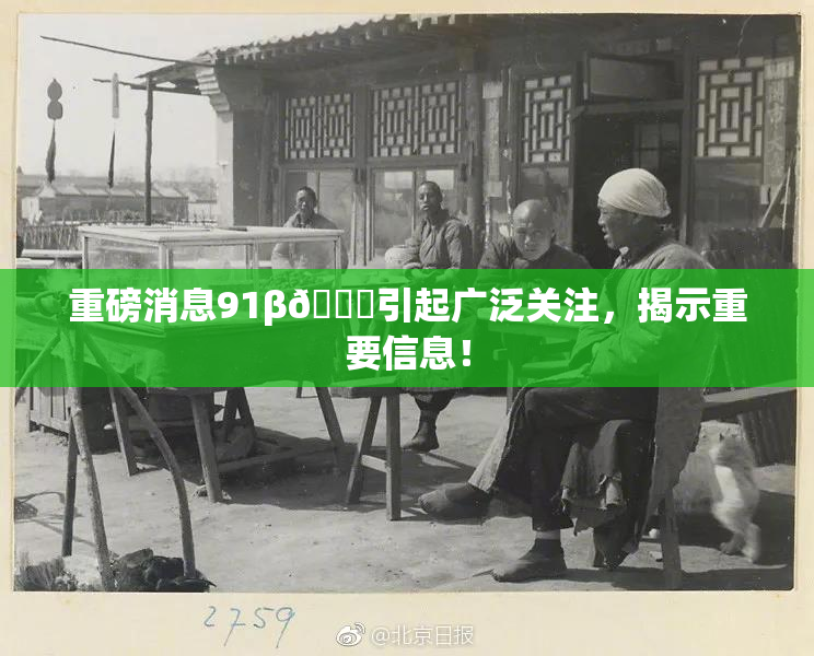 重磅消息91β🍆引起广泛关注，揭示重要信息！