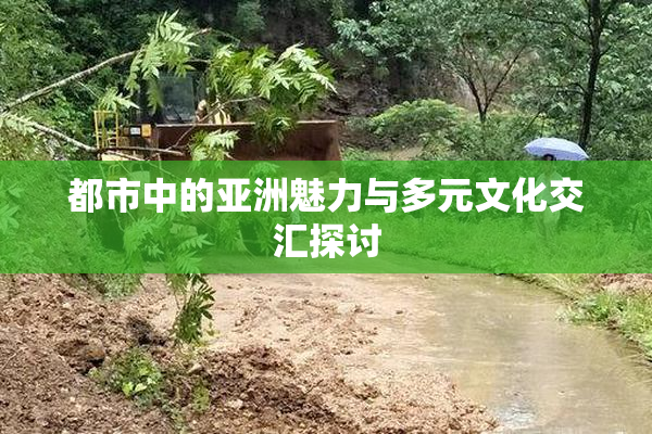 都市中的亚洲魅力与多元文化交汇探讨
