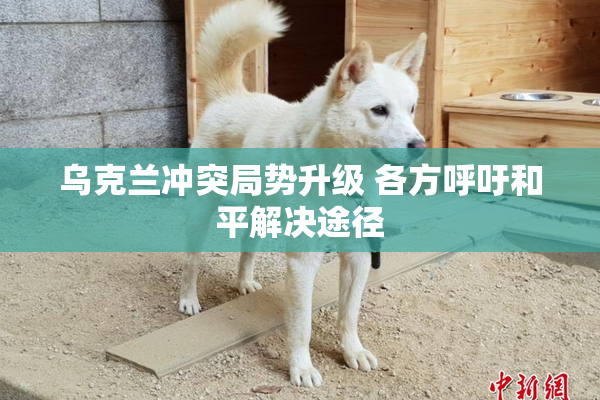 乌克兰冲突局势升级 各方呼吁和平解决途径