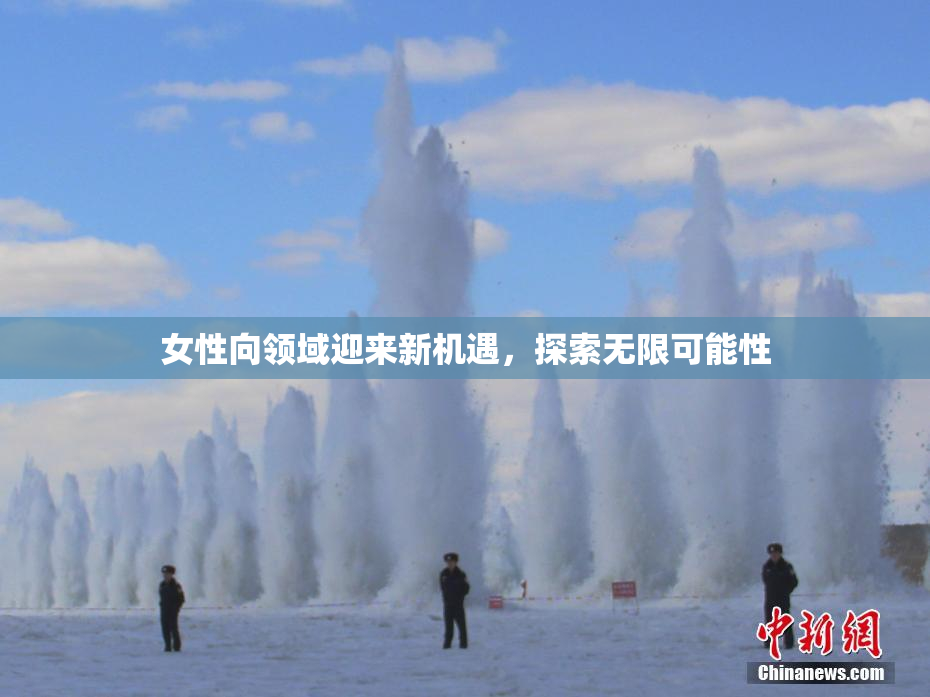 女性向领域迎来新机遇，探索无限可能性