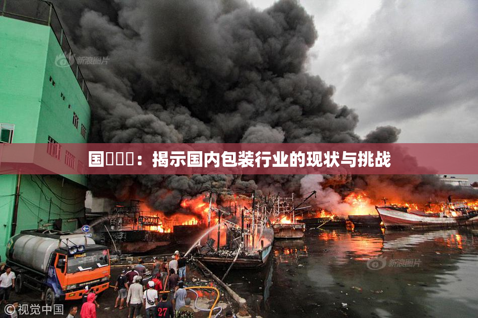 国產梱綁：揭示国内包装行业的现状与挑战