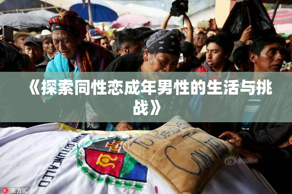 《探索同性恋成年男性的生活与挑战》