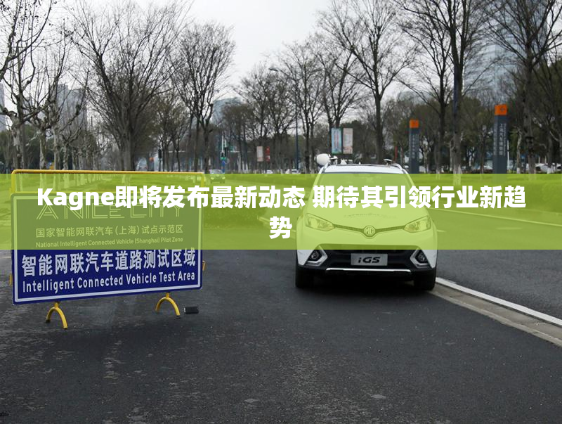 Kagne即将发布最新动态 期待其引领行业新趋势