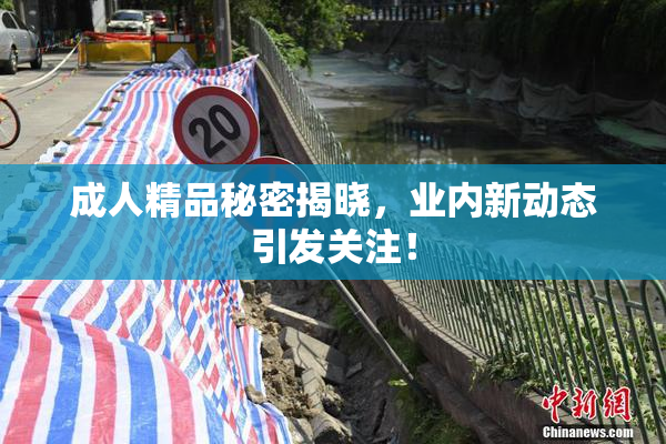 成人精品秘密揭晓，业内新动态引发关注！