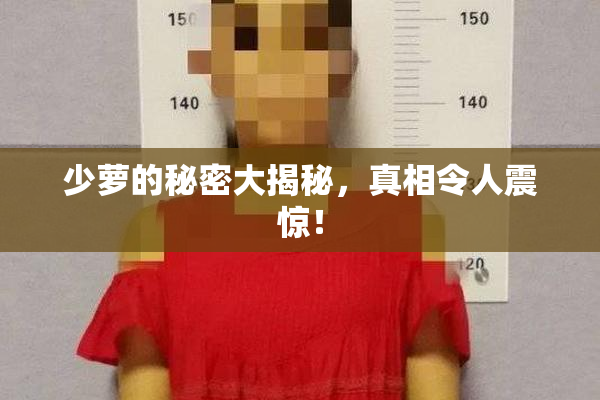 少萝的秘密大揭秘，真相令人震惊！