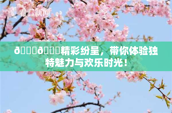 🐔🐔精彩纷呈，带你体验独特魅力与欢乐时光！