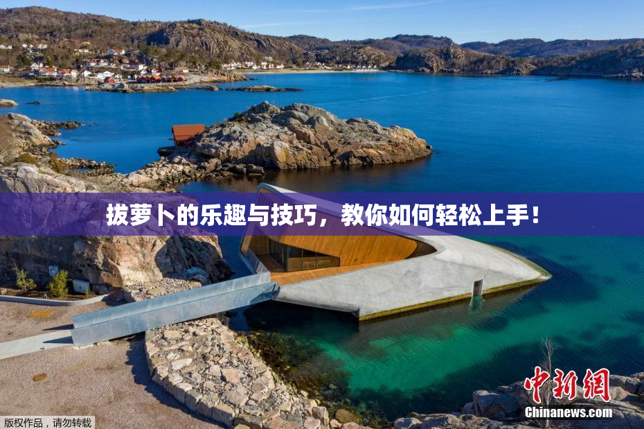 拔萝卜的乐趣与技巧，教你如何轻松上手！