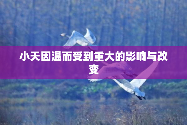 小天因温而受到重大的影响与改变