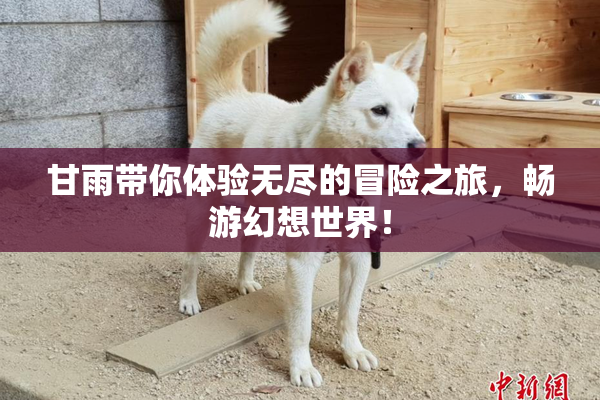 甘雨带你体验无尽的冒险之旅，畅游幻想世界！