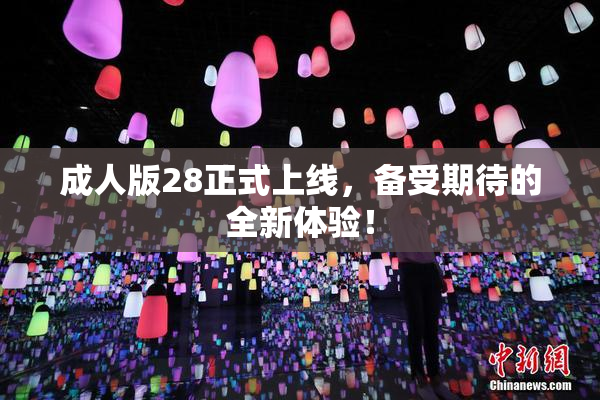 成人版28正式上线，备受期待的全新体验！