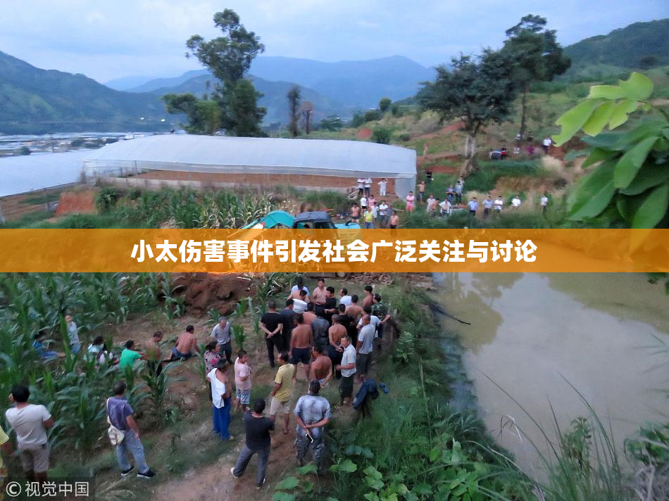 小太伤害事件引发社会广泛关注与讨论