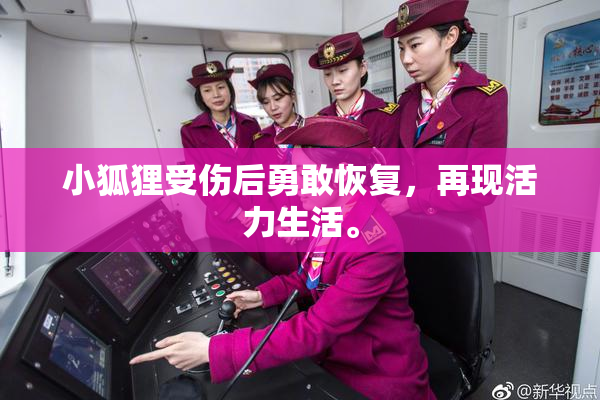 小狐狸受伤后勇敢恢复，再现活力生活。