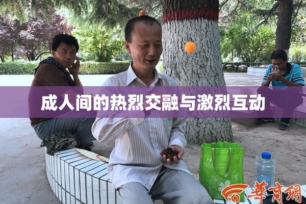 成人间的热烈交融与激烈互动