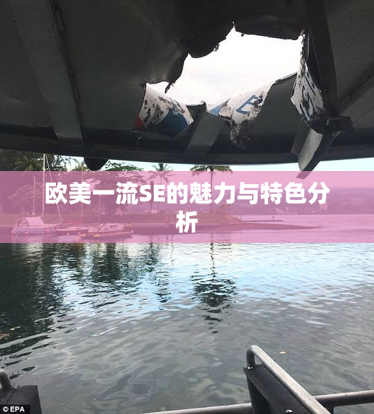 欧美一流SE的魅力与特色分析
