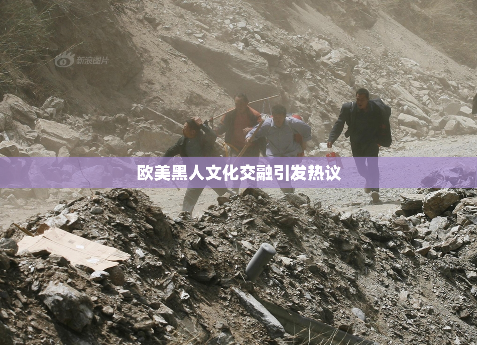 欧美黑人文化交融引发热议