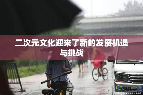 二次元文化迎来了新的发展机遇与挑战
