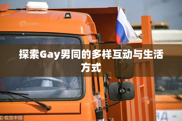 探索Gay男同的多样互动与生活方式