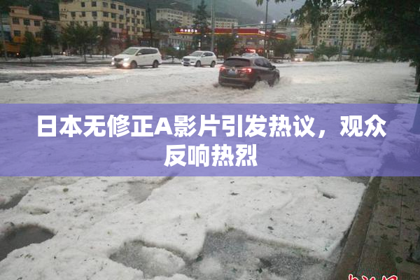 日本无修正A影片引发热议，观众反响热烈